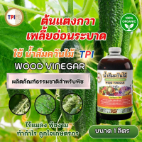 แตงกวาเพลี้ยอ่อนระบาด ใช้น้ำส้มควันไม้ฉีดพ่น ลดแมลงแบบธรรมชาติ ด้วยน้ำส้มควันไม้ TPI ขนาด 1 ลิตร