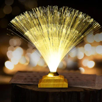 Three-color Dimming LED Creative Fiber Optic Light Flash Table Lamp Bedroom Starry Fiber Optic Flower Atmosphere Night Light