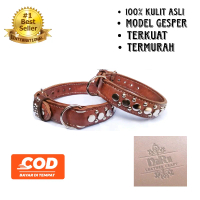 kalung anjing kulit/ ras besar