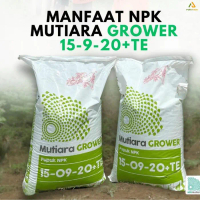 PRTN Pupuk NPK Mutiara GROWER 15-09-20+TE  meroke npk grower 1 kg EW302PROMO