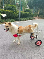 四輪狗輪椅后肢癱瘓寵物代步車殘疾狗狗后腿輔助大型小型犬支架