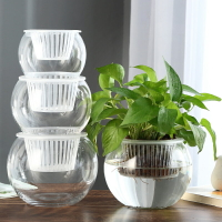 花瓶透明玻璃植物水培瓶綠蘿容器花盆創意養魚養花水缸擺件器皿