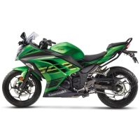 KAWASAKI NINJA忍者 300(黃牌檔車/機車/平輸車)