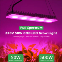 Led Grow Light Plant Hydroponic Lamp LED Full Spectrum 220V LED Phytolamps Light Greenhouse Seeds Flower Grow Lighting 50W