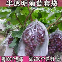 葡萄套袋專用袋半透明袋子蓮霧保護防蟲雨防鳥包果袋紙袋透氣水果-UM.有米家居