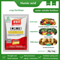 Humic Acid Foliar Organic Water Soluble Fertilizer Foliar Fertilizer Universal Compound Fertilizer for Fruits and Vegetables 40g