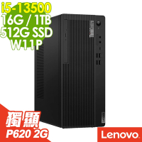 Lenovo ThinkCentre M70t (i5-13500/16G/1TB+512G SSD/P620 2G/W11P)