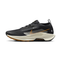 Nike Pegasus Trail 5 GORE-TEX 男鞋 黑色 防水 越野 跑鞋 運動 慢跑鞋 FQ0908-007