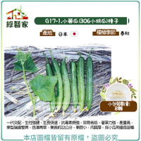 【綠藝家】G17-1.小黃瓜(306小胡瓜)種子8顆