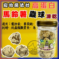 ✪四寶的店✪PV 魔法村 小動物 馬鈴薯 高蛋白蟲球凍乾 35g/包 倉鼠/黃金鼠/蜜袋鼯/刺蝟/爬蟲/鳥零食