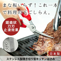 耀您館★日本製GREEN BELL彎刃弧形握把Seki Edge多功能大型廚房剪刀SJ-K120(可拆式鋸齒狀不鏽鋼刃長85mm;開瓶罐;附掛洞;可洗碗機)料理剪刀食物雞骨剪刀※榮獲GOOD DESI