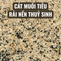 Cát Muối Tiêu Thủy Sinh | Cát Rải Nền Hồ Cá | Cát Trang Trí Bể Cá Tự Nhiên