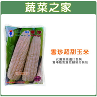 【蔬菜之家G85】雪珍超甜玉米(純白色牛奶玉米)種子(共有2種包裝可選)