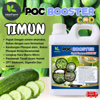 Pupuk Pelebat Buah Mentimun , Pupuk Tanaman Mentimun, Pupuk Cair Organik Untuk Mentimun INTERFARM