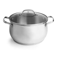 Stainless Steel Dutch Oven and Glass Lid, 5 Quart