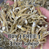 1kg Ikan Bilis Langkawi Gred 4A Size S Dried Food