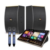 18.5 4K Wifi 1TB Power Amplifier All-in-one KTV Karaoke System Machine Karaoke Player Set With Speakers