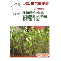 【蔬菜工坊】J03.青花椰菜芽種子(青花椰菜芽、青花椰苗、芽菜種子)