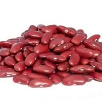 kacang merah kering 250gram / kacang jogo