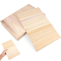 Taekwondo Plank Breaking Boards Punching Accessories Training Rebreakable