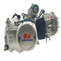 DAYANG LIFAN 110CC Nature Air-cooled engine assembly for tricycles three wheels motorcycles high quality engines wholesale