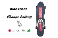 BIRDYEDGE 聖母可拆卸電動滑板 選配組合  LG BIRDYEDGE原廠電池單賣一顆電池