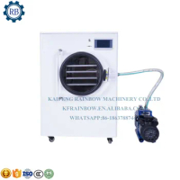 Commercial Lyophilizer Freeze Dry Machine mini freeze dryer for home /lab dried fruit food household