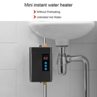 3KW 110V Small Electric Instant Hot Water Heater Tankless Water Heater Shower Instant Boiler Kitchen
