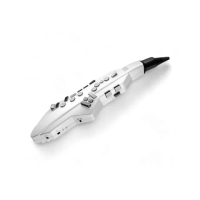 【ROLAND 樂蘭】AEROPHONE GO AE-05C 數位電吹管／千變萬化的音色(AE05C 薩克斯風 管樂 SAX 直笛 中國笛)