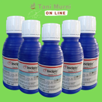 Q&J2 INSEKTISIDA INCIPIO 200 SC KEMASAN 100ML | PRODUK TERBARU SYNGENTA UNTUK ULAT DAN KUTU PROMOYE1
