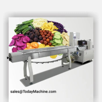 PLC Control Date ball protein bar Automatic Horizontal Wrapper Pillow Packing Machine cookie cake Flow Wrapping Machine