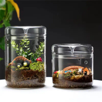 Pasu Kaca Terrarium Estetik Bekas Tanaman Succulent Moss Micro Landscape DIY Hiasan Rumah Cantik Vir
