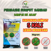 Ameron 50g most effective grass poison sambau stubborn ground fast dead durable Ameron poison grass