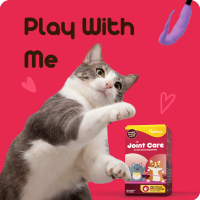 Suplemen / Vitamin Tulang dan Sendi untuk Kucing (Joint Care Cat)