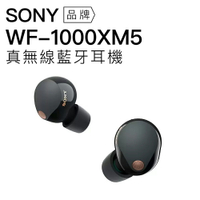 SONY  WF-1000XM5 真無線 主動式 降噪耳機 入耳式 【公司貨保固12+6個月】