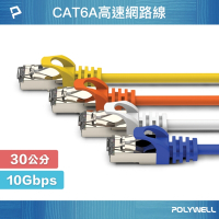 POLYWELL CAT6A 超高速乙太網路線 S/FTP 10Gbps 30公分