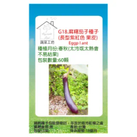 【蔬菜工坊】G18.麻糬茄子種子(長型紫紅色 果皮)