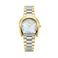 Jam Tangan Wanita AIGNER Ravenna Due Set AGW.259001