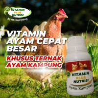 Vitamin Plus nutrisi  ternak untuk penggemuk ayam kampung cepat besar,Vitamin ayam kampung cepat bes