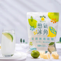 【Becky Lemon 憋氣檸檬】100%原味檸檬冰角12袋(28mlX10個/袋)