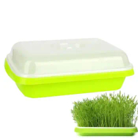 Seed Sprouter Tray Soil-Free Microgreens Growing Trays Nursery Tray Seed Germination Tray Wheatgrass Cat Grass Seedling Planting
