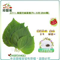 【綠藝家】A77-1.韓國芝麻葉種子0.25克(約60顆)