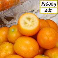 愛蜜果 台灣產 日本金桔 甜橘 / 一口柑 6盒(約600克/每盒)箱裝