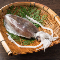 【三頓飯】鮮凍野生軟絲 2隻組(200-300g/隻)