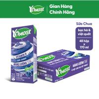 (Giao hàng trong vòng 2~3 ngày) Thùng 48 Hộp Sữa Chua Lên Men Tự Nhiên Yomost Bạc Hà - Việt Quất (17
