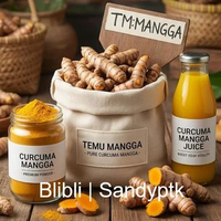 Temu Mangga Curcuma Mangga Kunyit Mangga bukan Temulawak Temu Hitam Putih Kuning