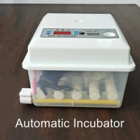Incubator small roller 16 automatic egg turning mini out of one poultry hatching eggs egg incubator hatching machine