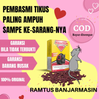 Ramtus pembasmi racun perangkap pengusir jebakan tikus mati kering dikap mobil Mouse Ramah Lingkunga