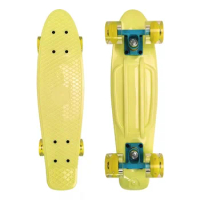 Penny Board for Children, Long Board, Mini Skateboard, Flash Wheel, Plastic Outdoor Fish Board, Sport Toy Scooter, 22Inch