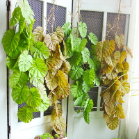 仿真秋色龜背葉串綠植藤條遮擋藤蔓垂吊掛飾室內植物角裝飾墻壁掛